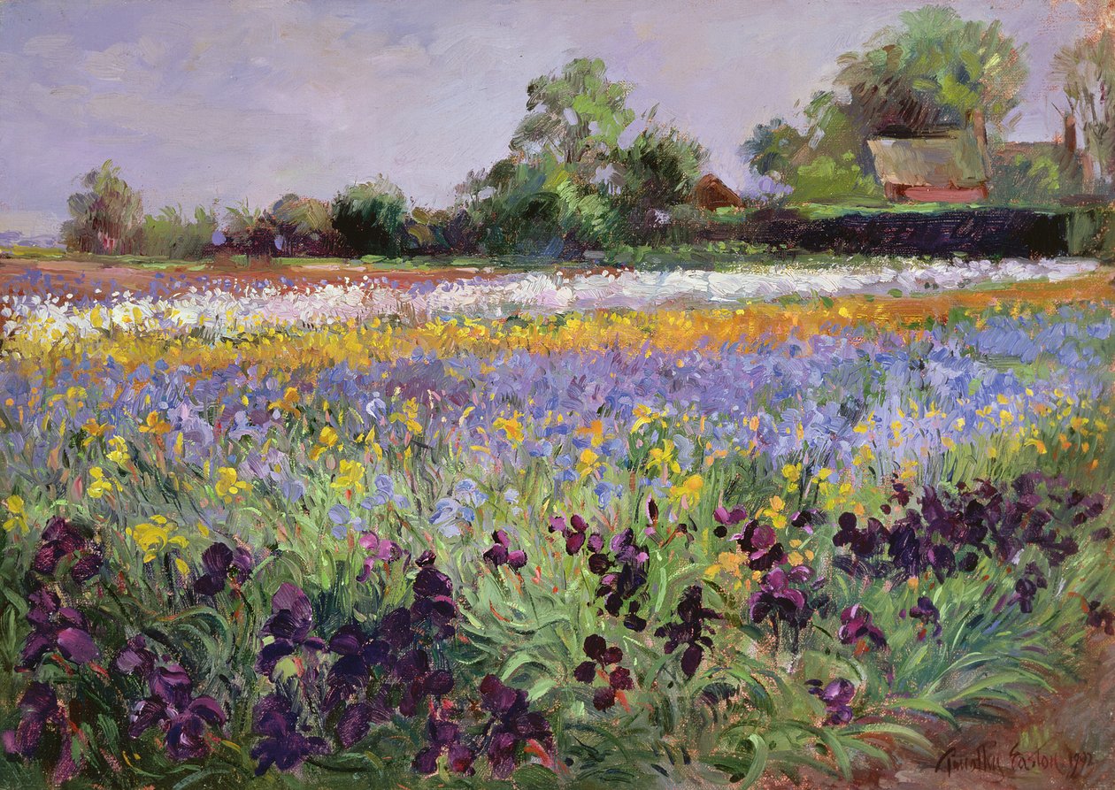 Iris-kenttä ja kaksi mökkiä tekijältä Timothy Easton