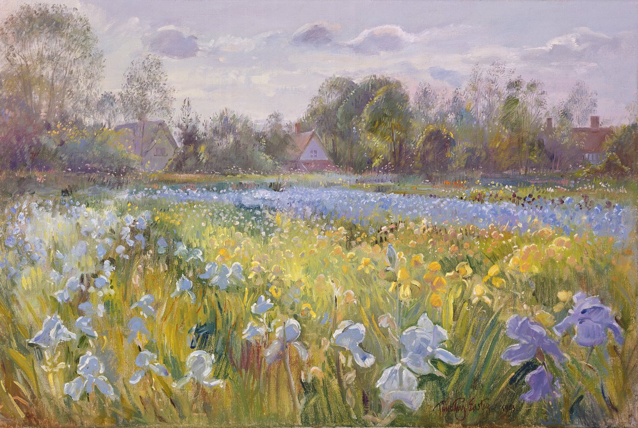 Iris Field in the Evening Light, 1993 tekijältä Timothy Easton