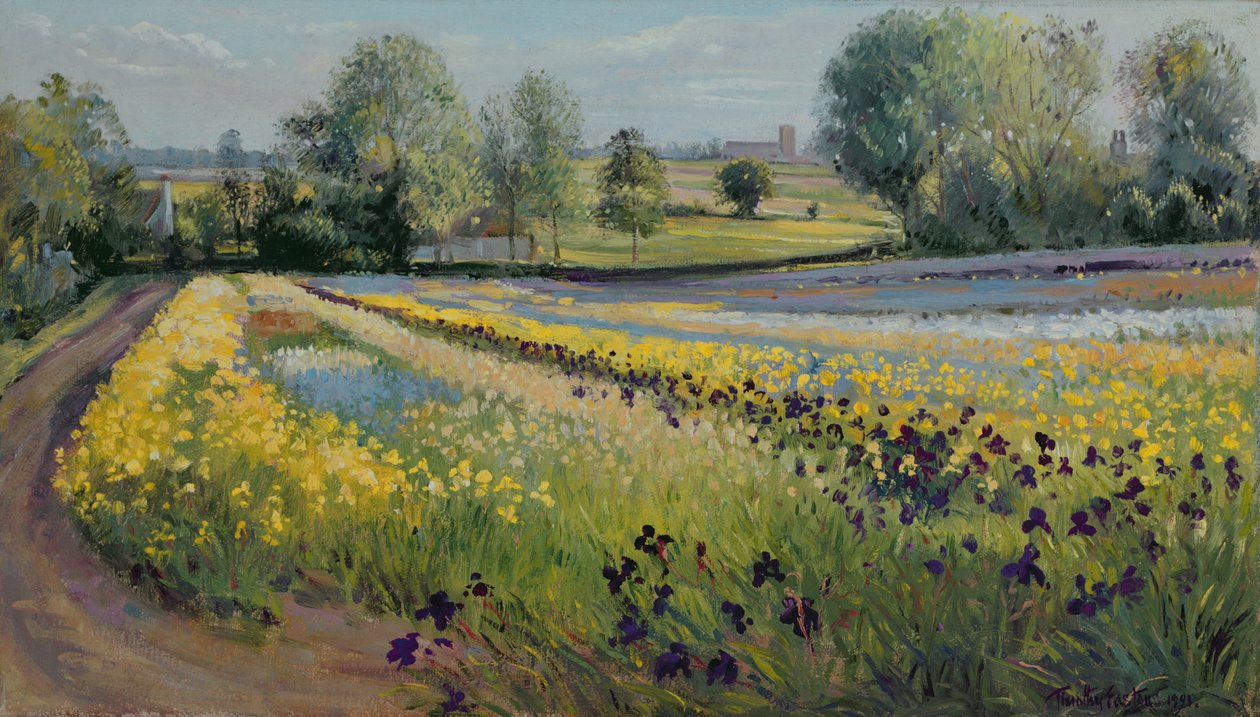 Iris Slope, 1991 tekijältä Timothy Easton
