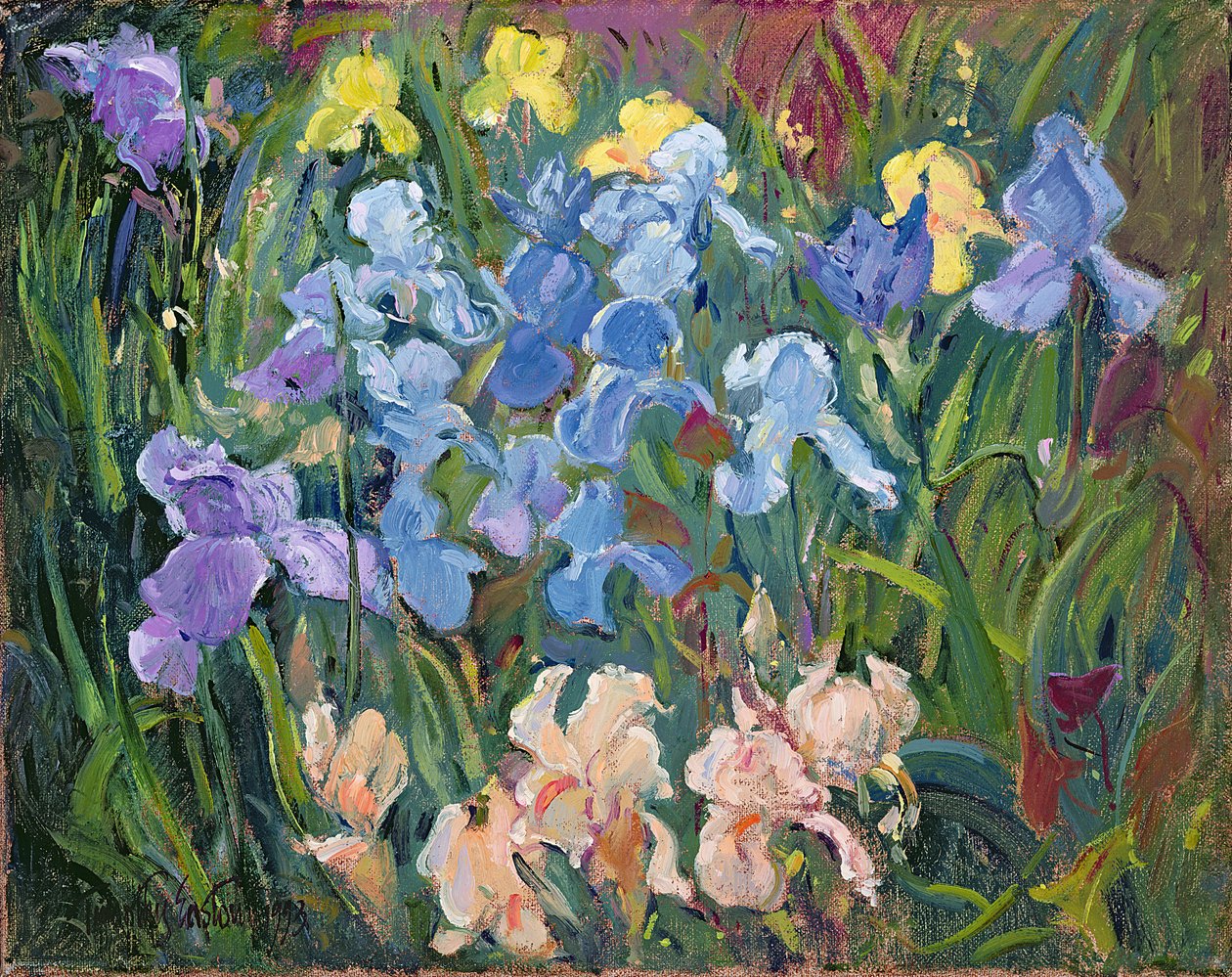 Irikset: Pinkki, sininen ja kulta, 1993 tekijältä Timothy Easton