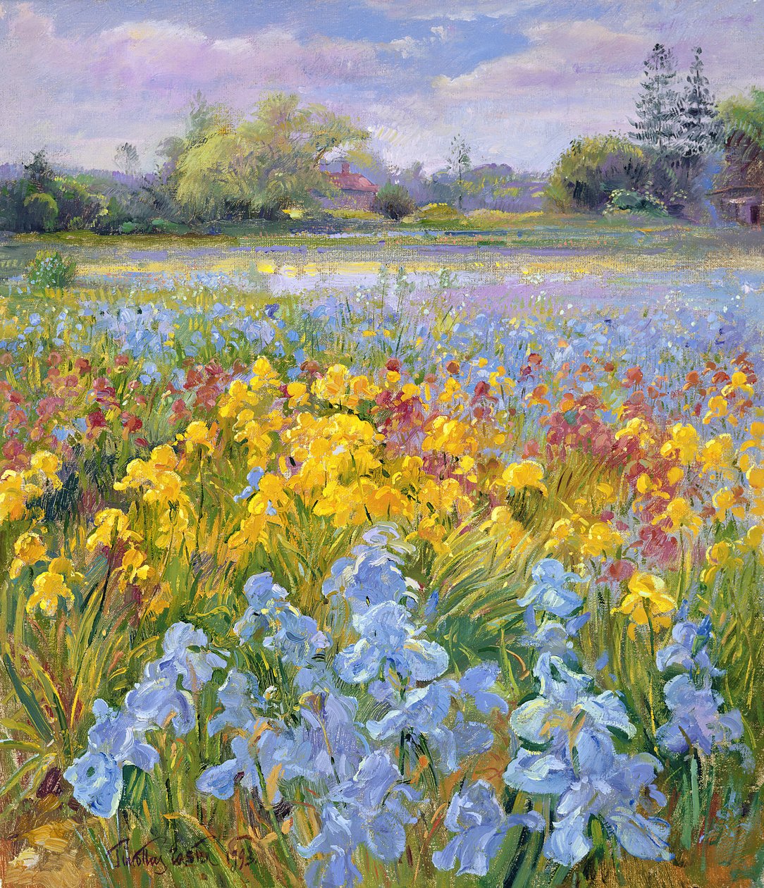 Iirikset, paju ja kuusi, 1993 tekijältä Timothy Easton
