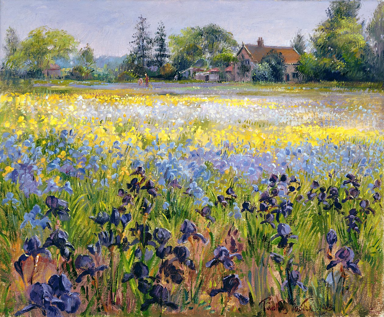 Iirikset ja kaksi kuusepuuta, 1993 tekijältä Timothy Easton