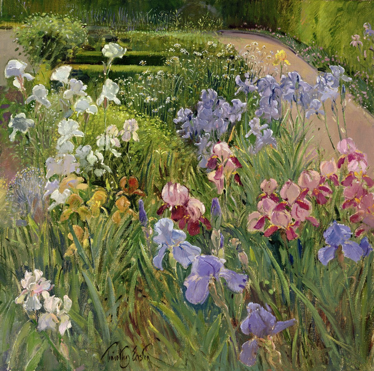 Irikset Bedfieldissä tekijältä Timothy Easton