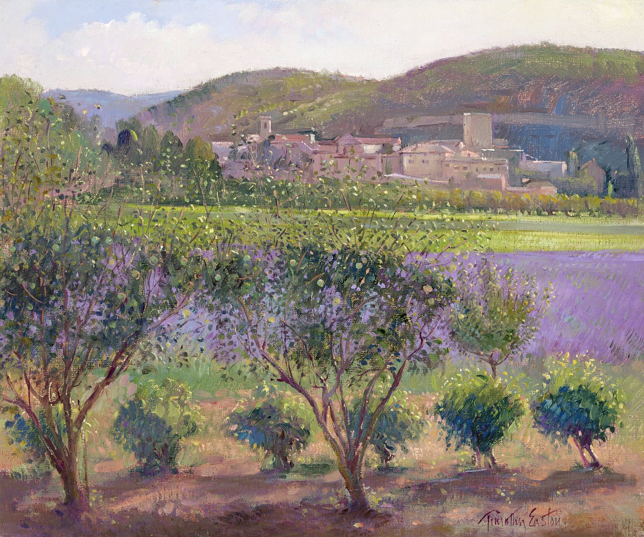 Laventeli nähtynä kvittenipuiden läpi, Monclus tekijältä Timothy Easton