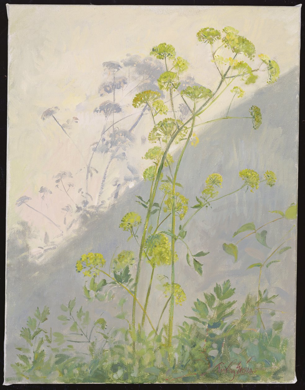 Lovage Against Diagonal Shadows, 1999 tekijältä Timothy Easton