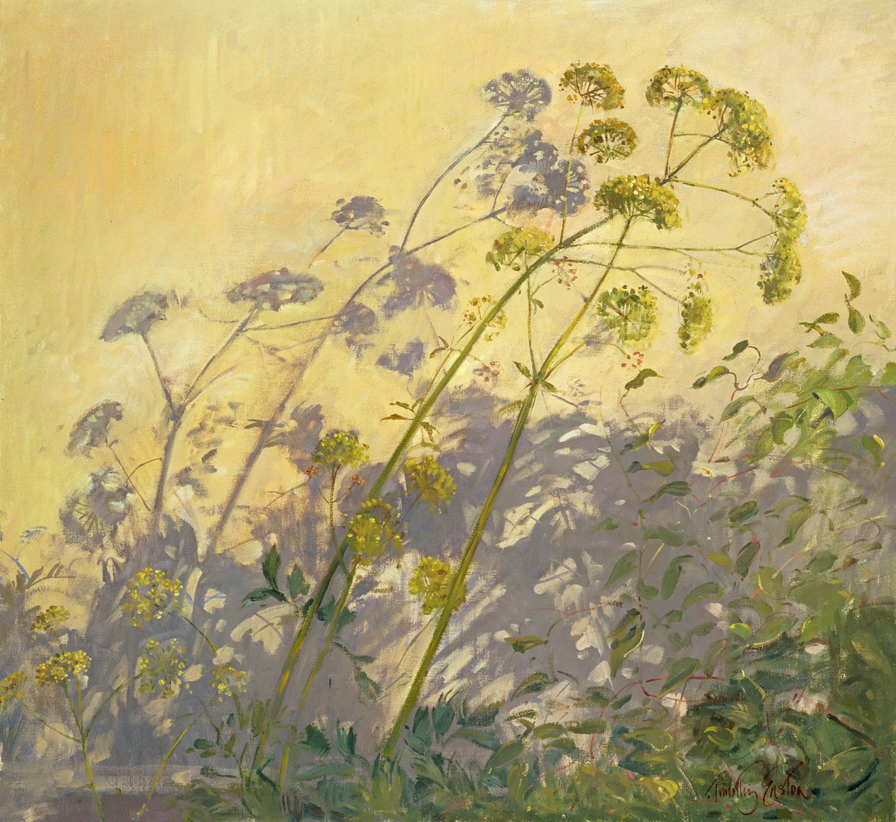 Lovage, Clematis and Shadows, 1999 tekijältä Timothy Easton