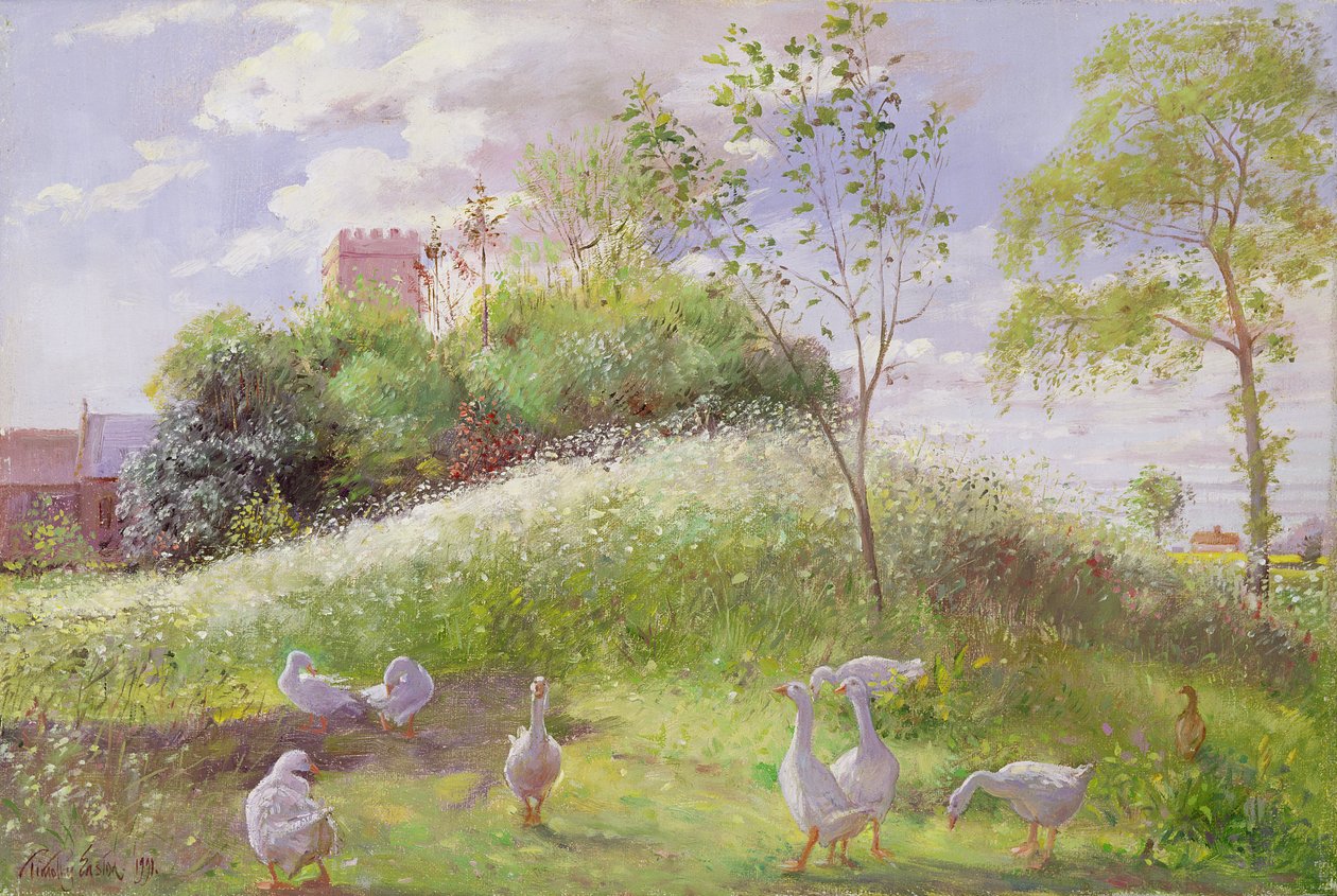 May Mount, 1991 tekijältä Timothy Easton