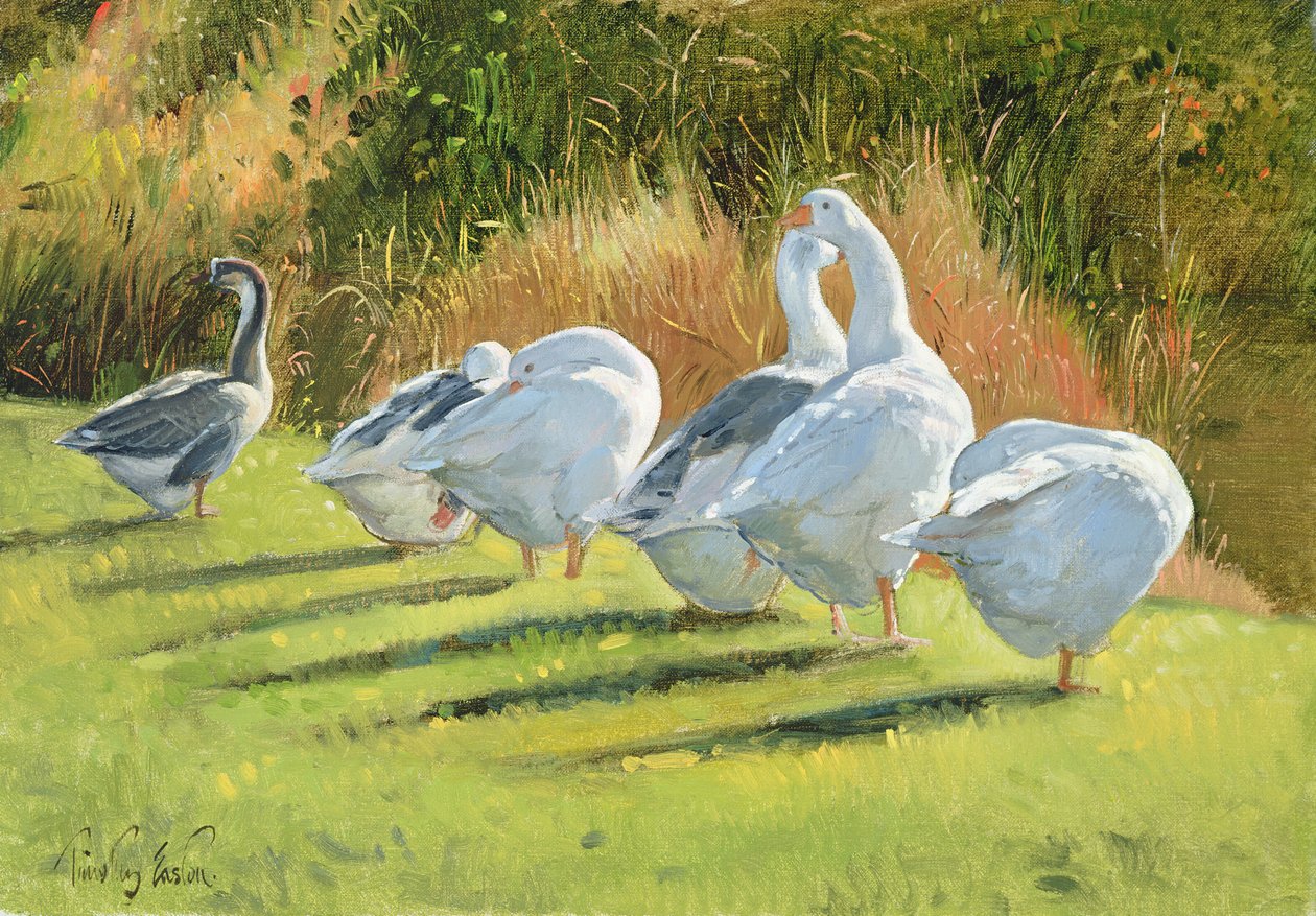 Moat Edge, Bedfield tekijältä Timothy Easton