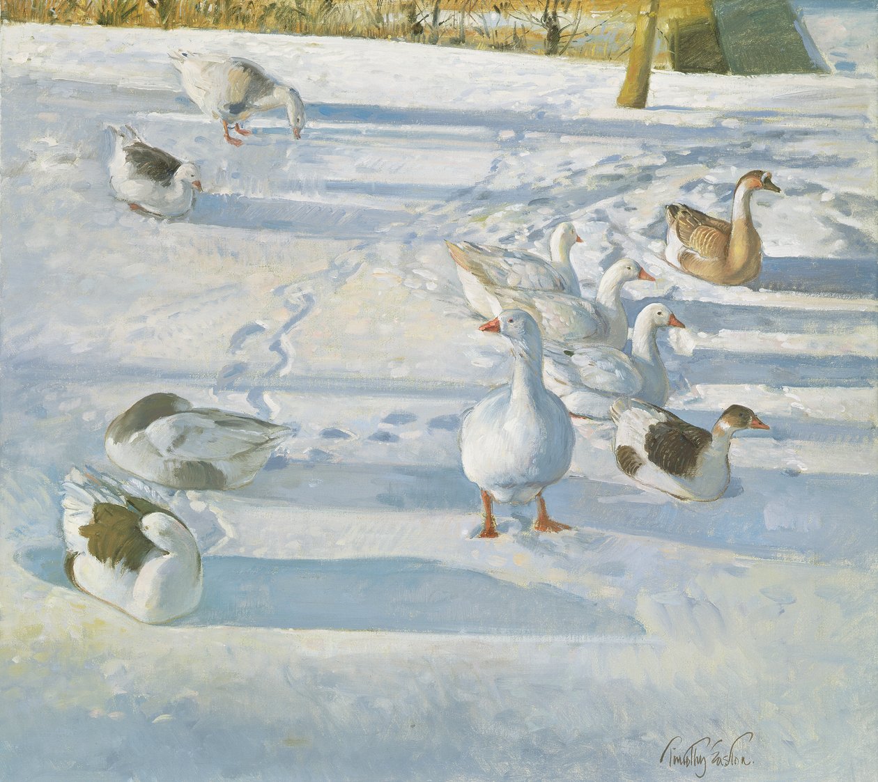 Lepää rinteessä tekijältä Timothy Easton