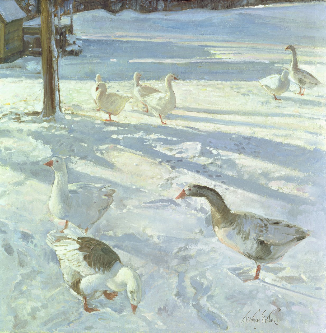 Snowfeeders, 1999 tekijältä Timothy Easton