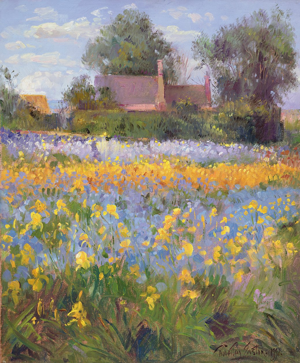 Suljetut mökit Iris-kentällä tekijältä Timothy Easton