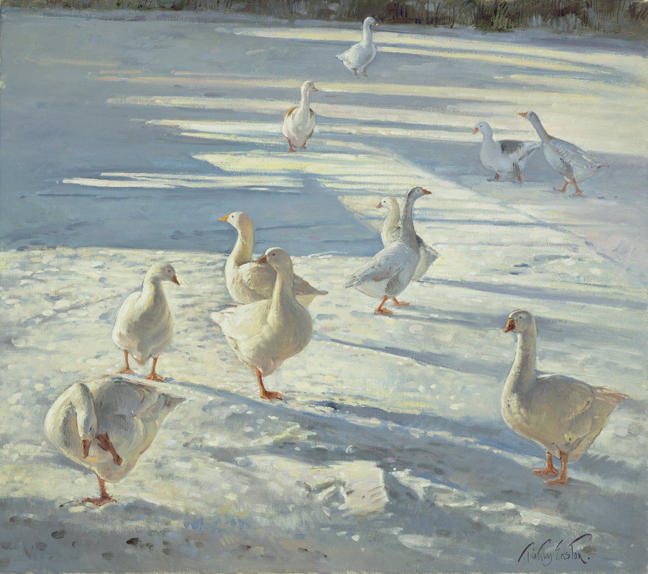 Kokoontuminen tekijältä Timothy Easton
