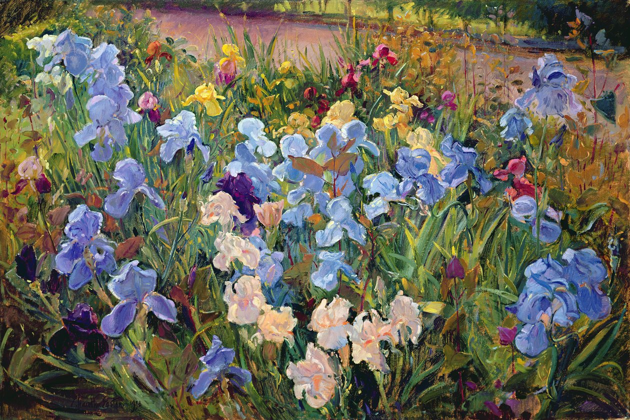 Iris-sänky, 1993 tekijältä Timothy Easton