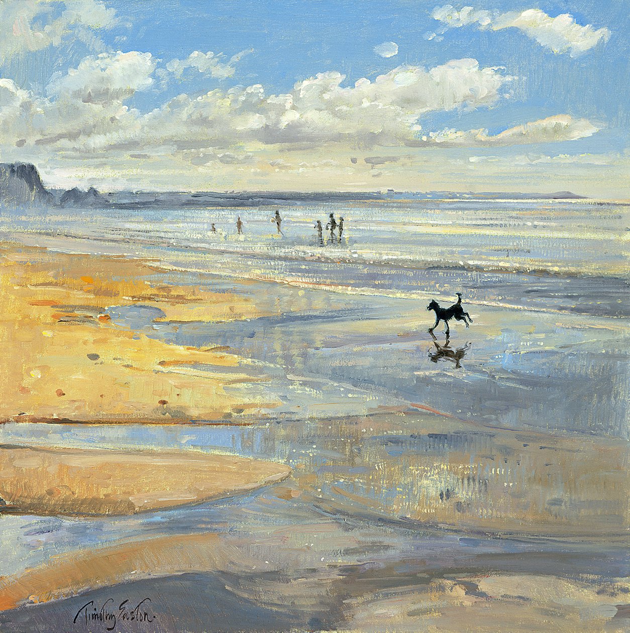 Pikku akrobaatti tekijältä Timothy Easton