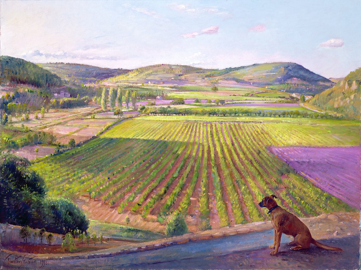 Katselu muureilta, Old Provence, 1993 tekijältä Timothy Easton