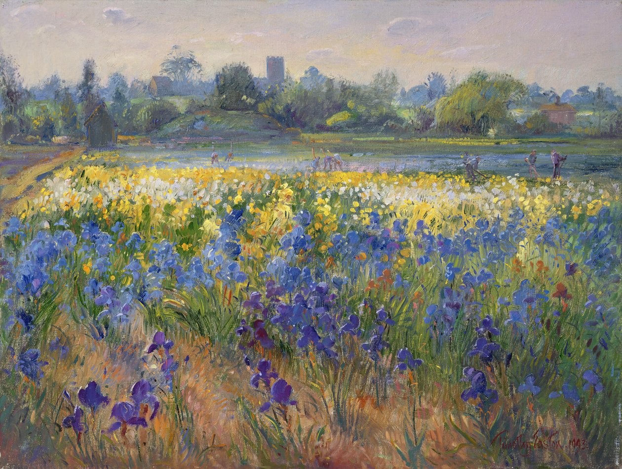 Blue Haze Burgatessa, 1993 tekijältä Timothy Easton