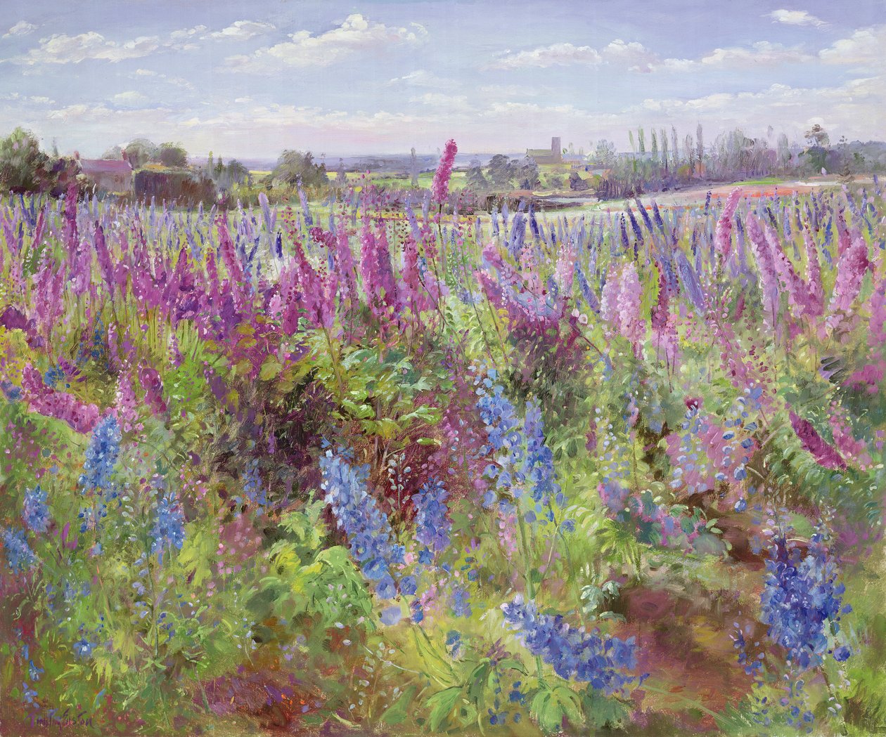Delphiniumin kenttä ja kirkko tekijältä Timothy Easton