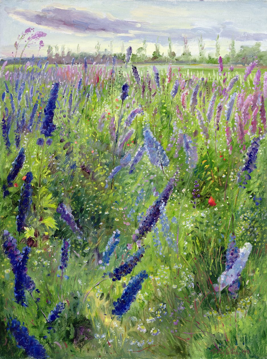 Ritarinkukat ja kehittyvä aurinko tekijältä Timothy Easton