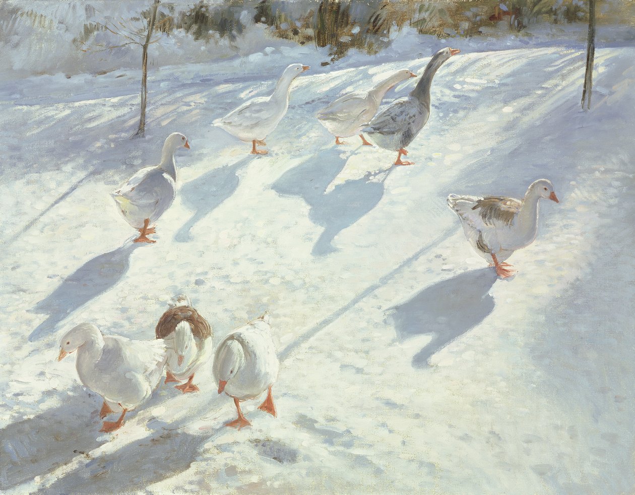 Kahdessa suunnassa tekijältä Timothy Easton