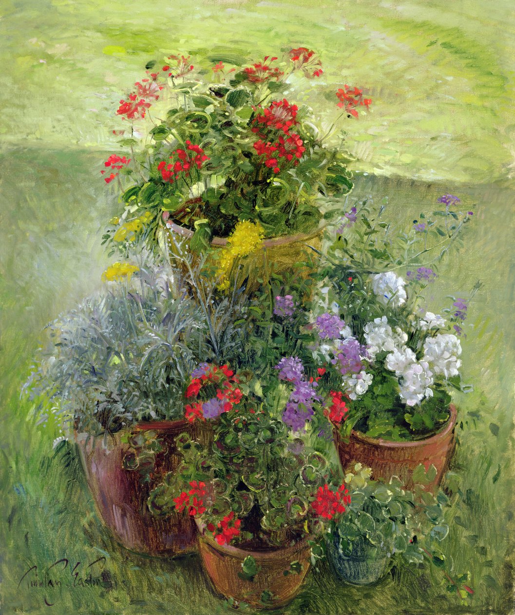 Varjostetut ruukut (öljy kankaalle) tekijältä Timothy Easton