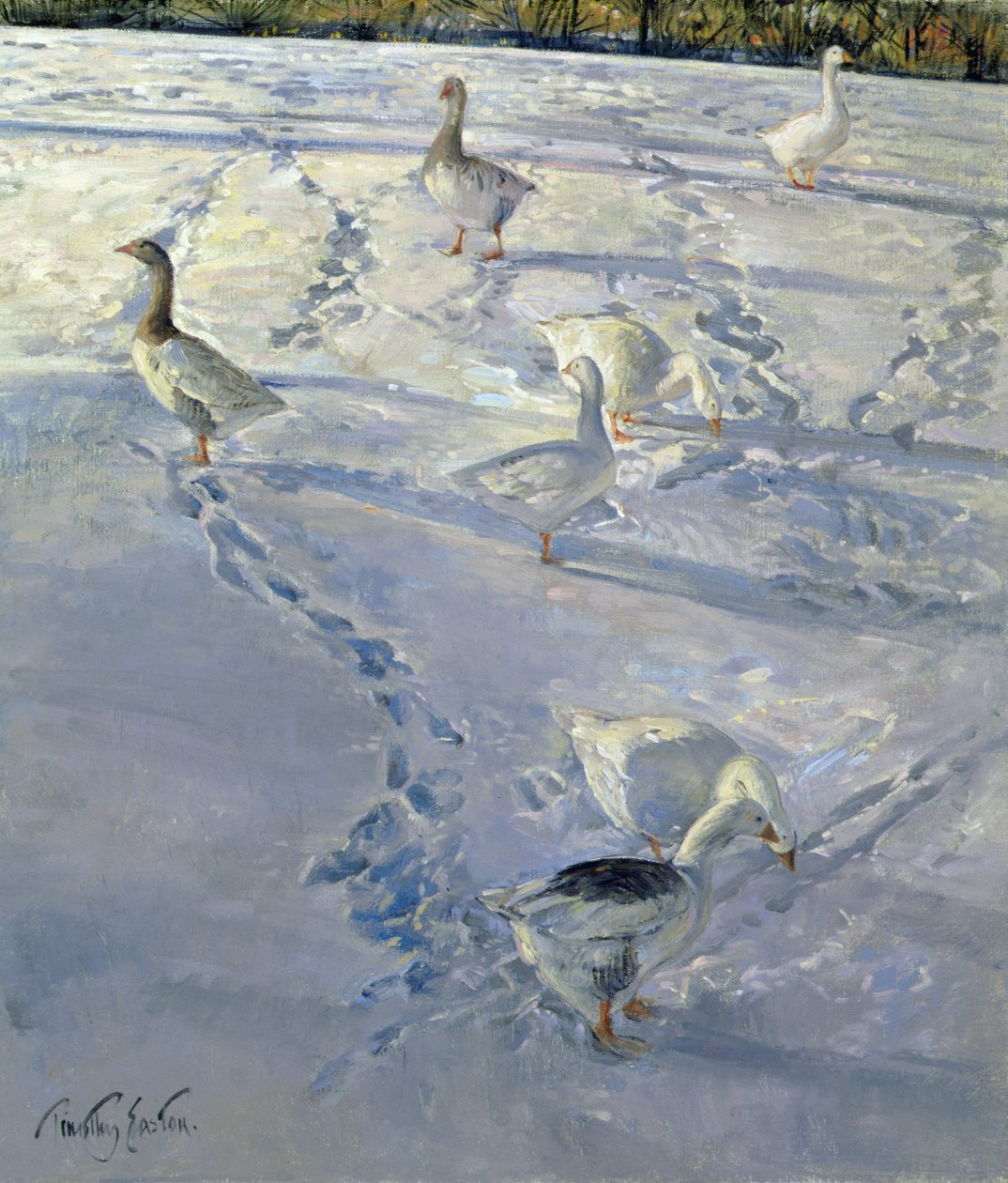 Shadows and Trackways (öljy kankaalle) tekijältä Timothy Easton