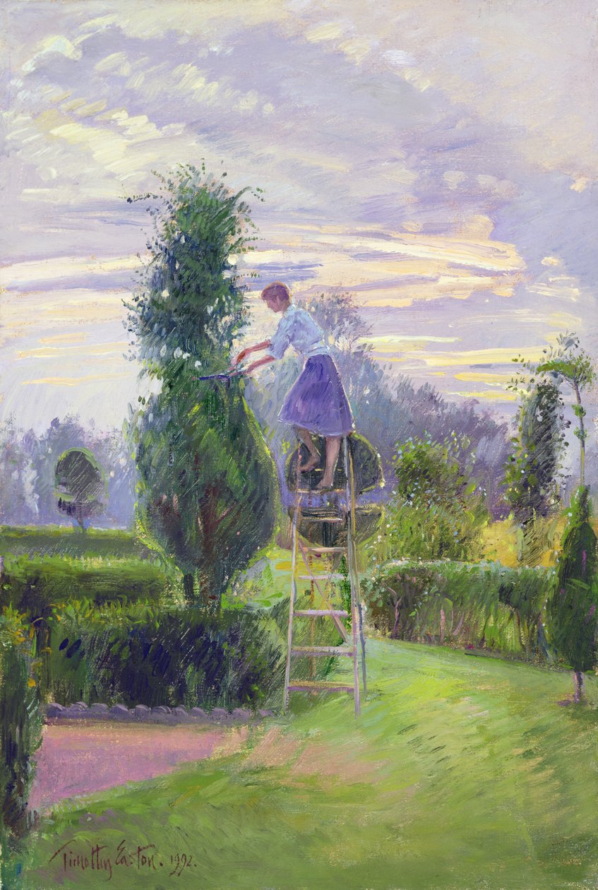 Ensimmäinen trimmaus tekijältä Timothy Easton