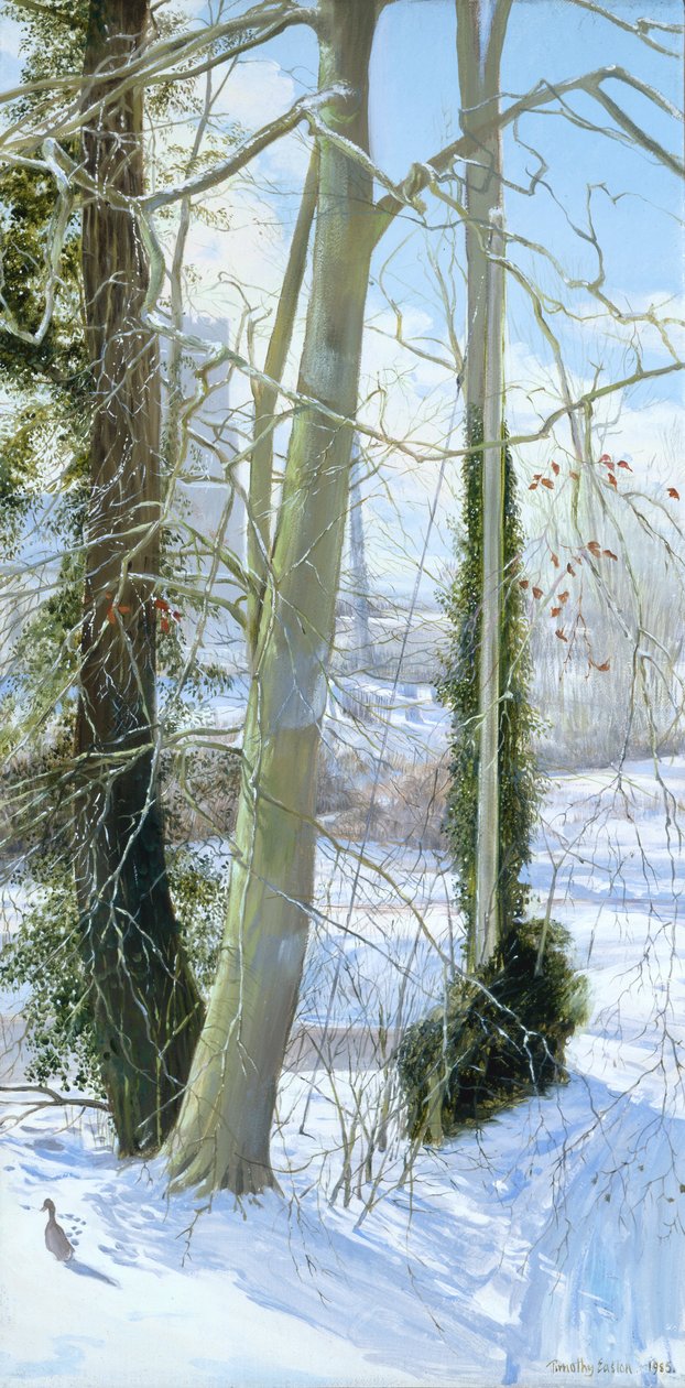 Kolme puuta talvella tekijältä Timothy Easton