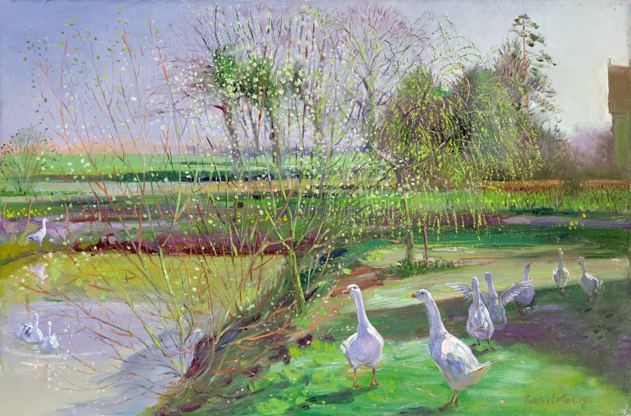 Paju ja Hanhet tekijältä Timothy Easton