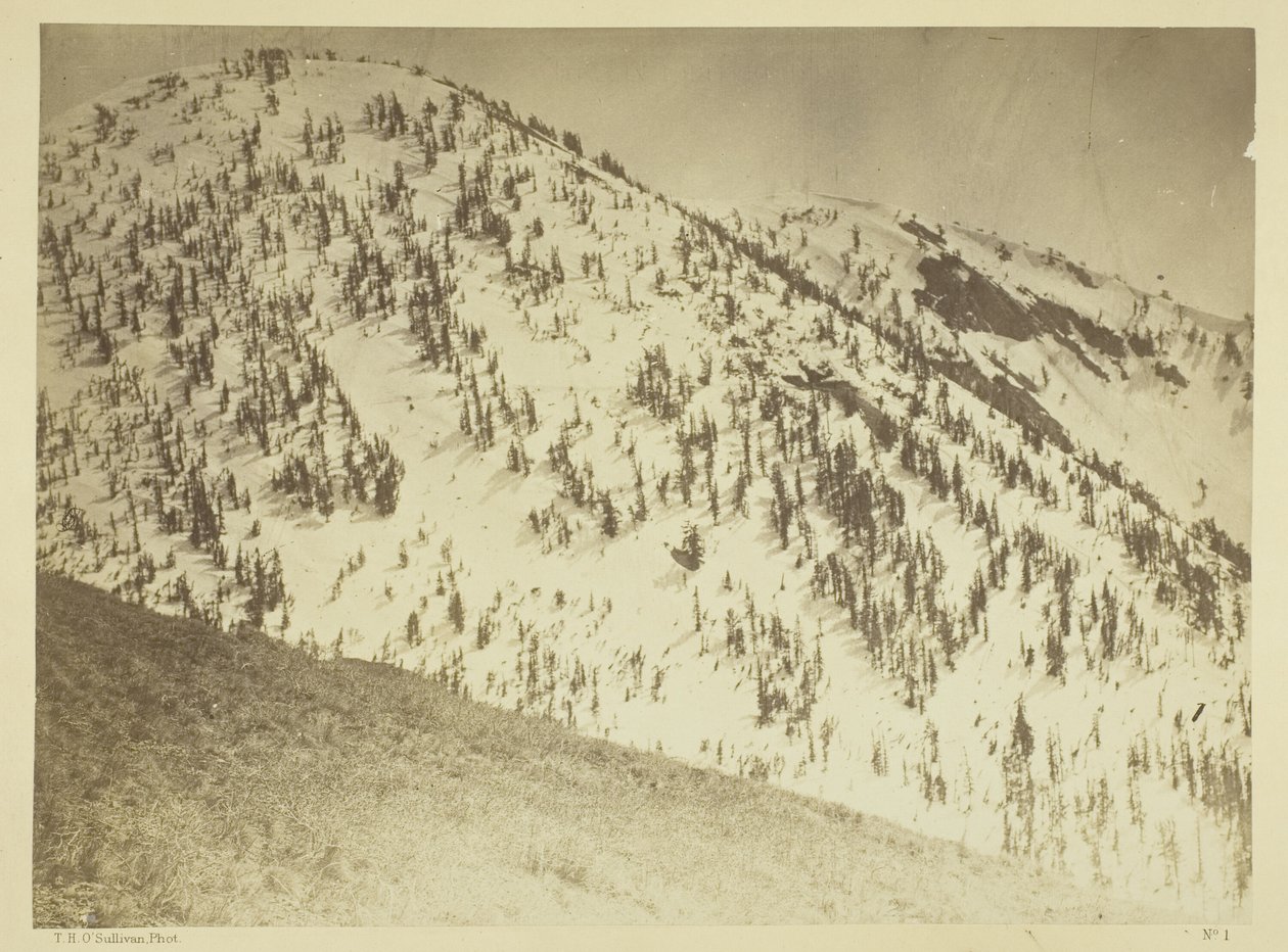 Snow Peaks, Bull Runin kaivospiiri, Nevada tekijältä Timothy O