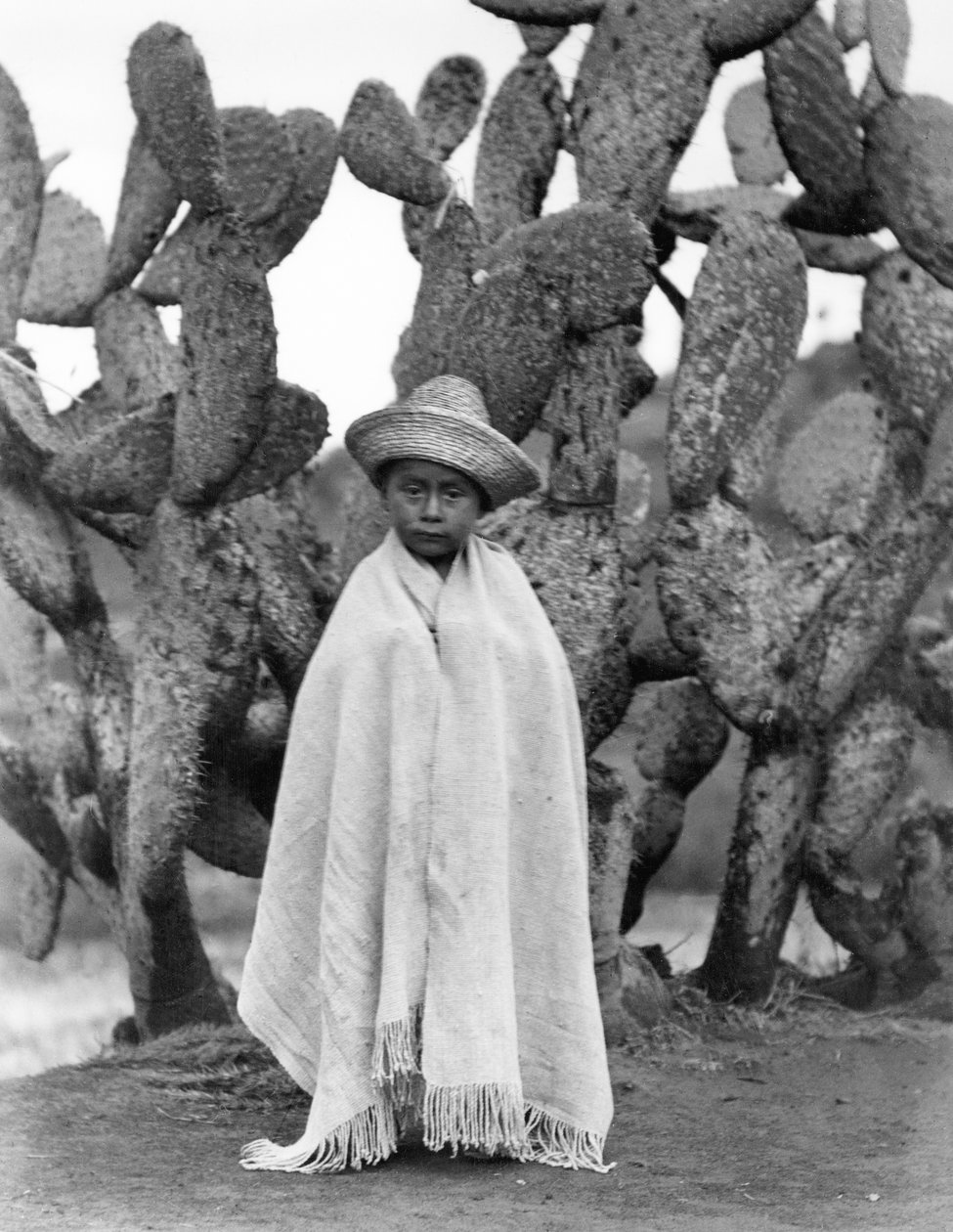 Poika kaktuksen edessä, Veracruzin osavaltio, Meksiko, 1927 (bw kuva) tekijältä Tina Modotti