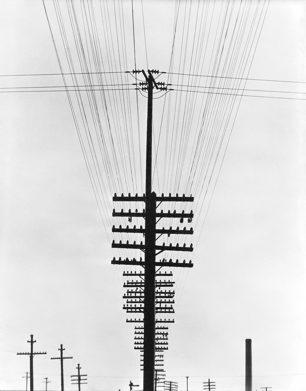Telegraph Wires, Meksiko, 1925 tekijältä Tina Modotti