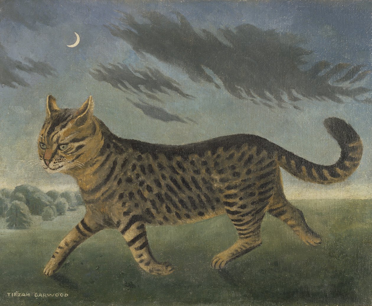 Erskine palaa aamunkoitteessa tekijältä Tirzah Ravilious