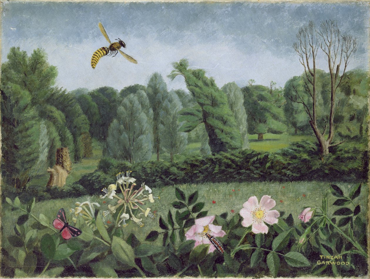 Hornet ja villiruusu tekijältä Tirzah Ravilious