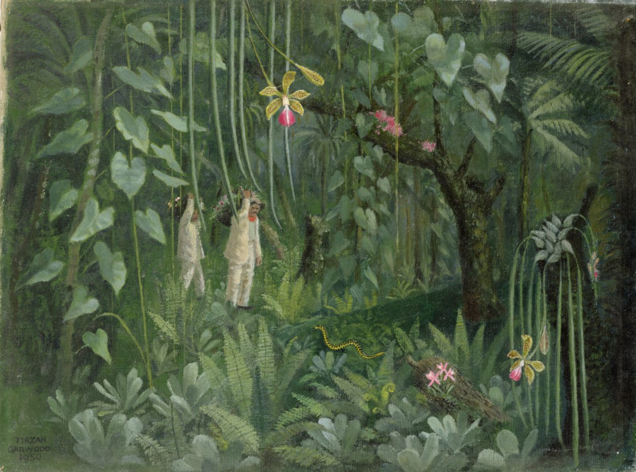 Brasilian orkideametsästäjät tekijältä Tirzah Ravilious