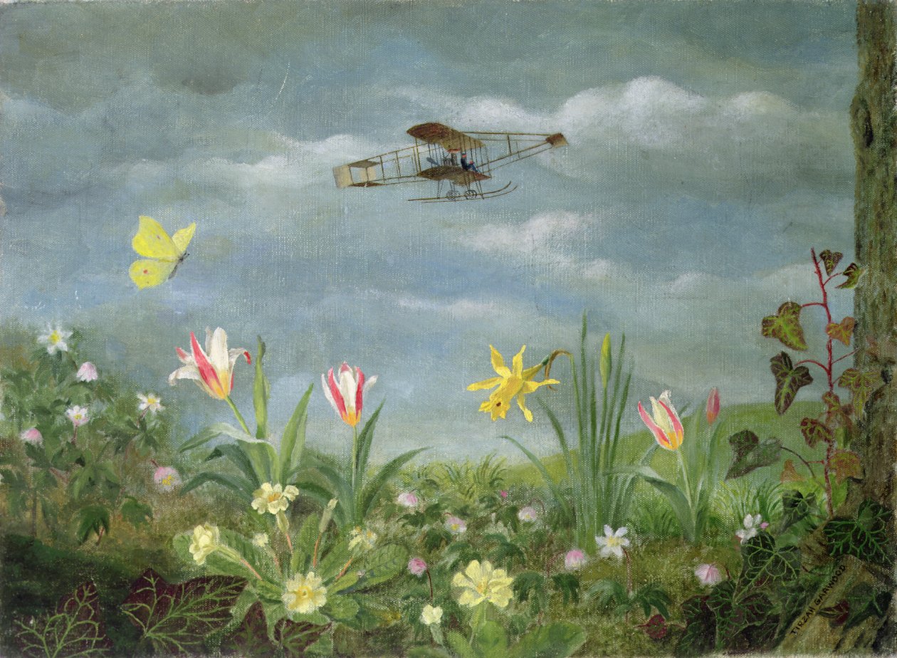 Lentojen kevät tekijältä Tirzah Ravilious