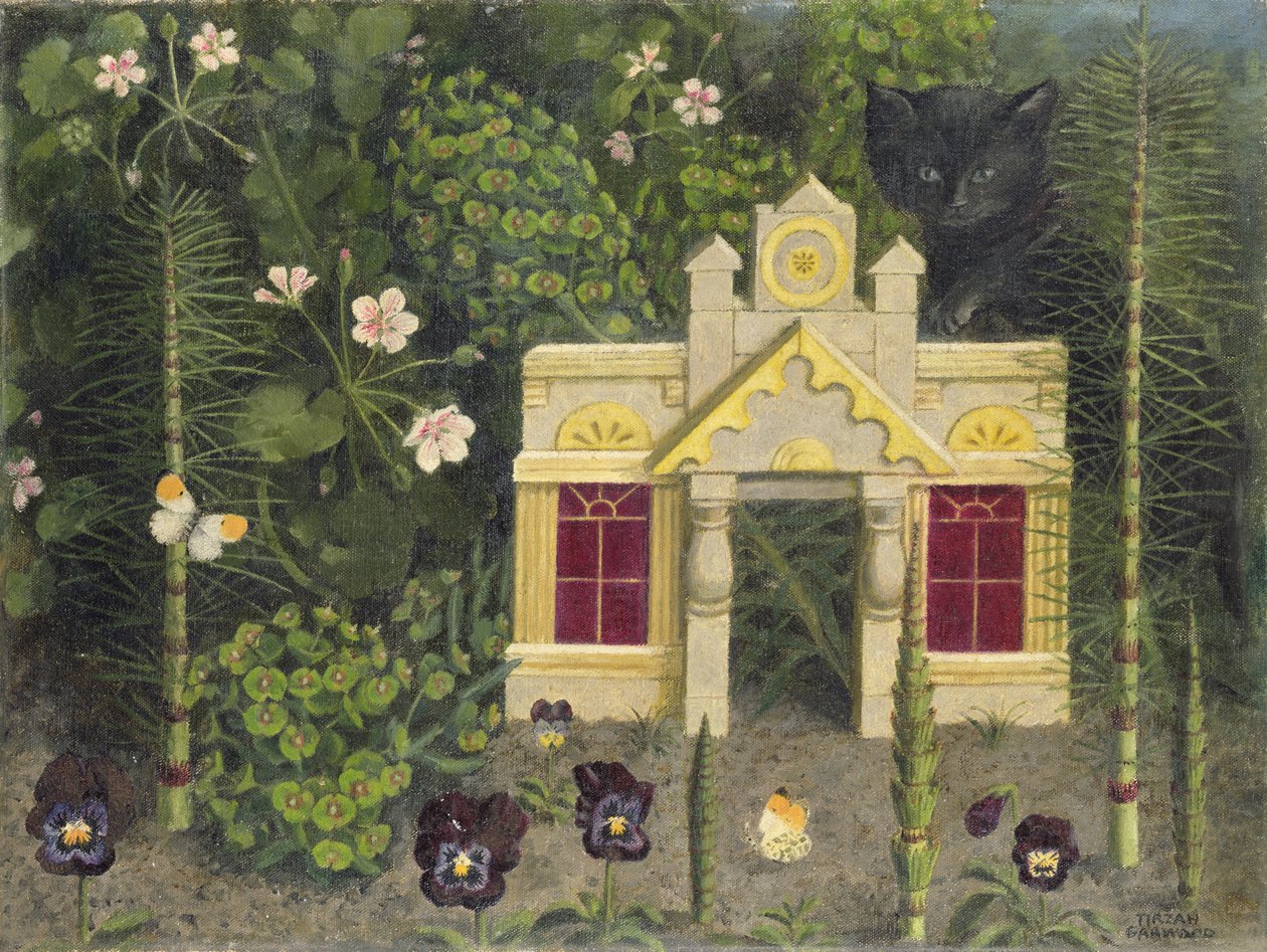 Weewakin kissanpentu tekijältä Tirzah Ravilious