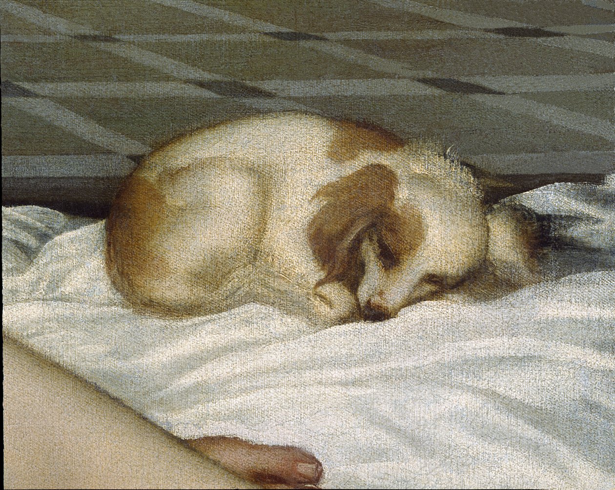 Urbinon Venus, ennen vuotta 1538 öljy kankaalle yksityiskohta 291644:stä tekijältä Tiziano Vecelli