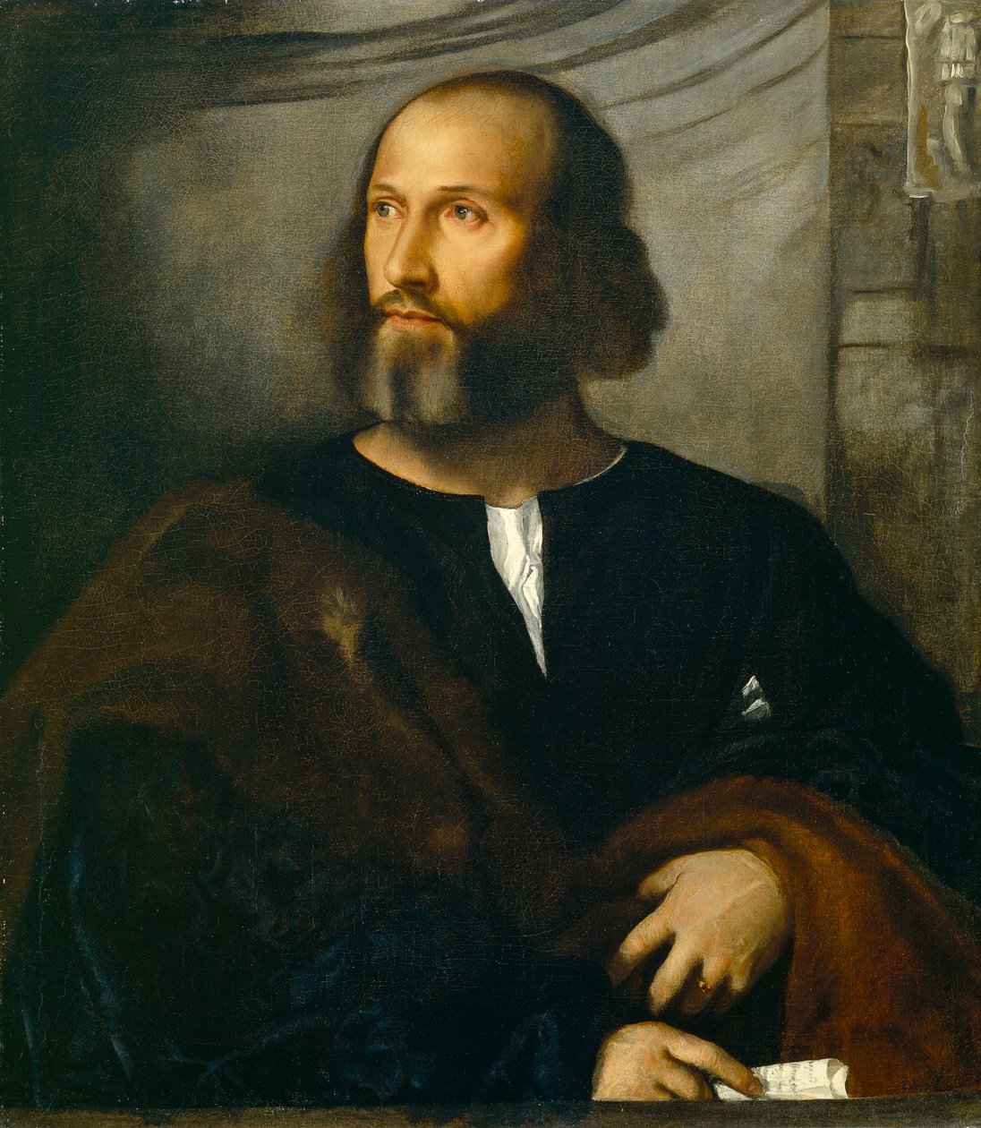 Parrakkaan miehen muotokuva, n. 1515 tekijältä Tiziano Vecelli