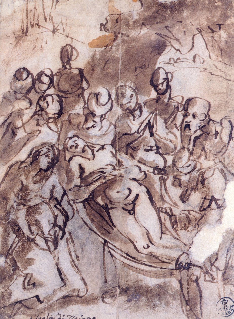 Tizianin laskeuma (noin 1490-1576), piirustus tekijältä Titian (c.1488 1576)