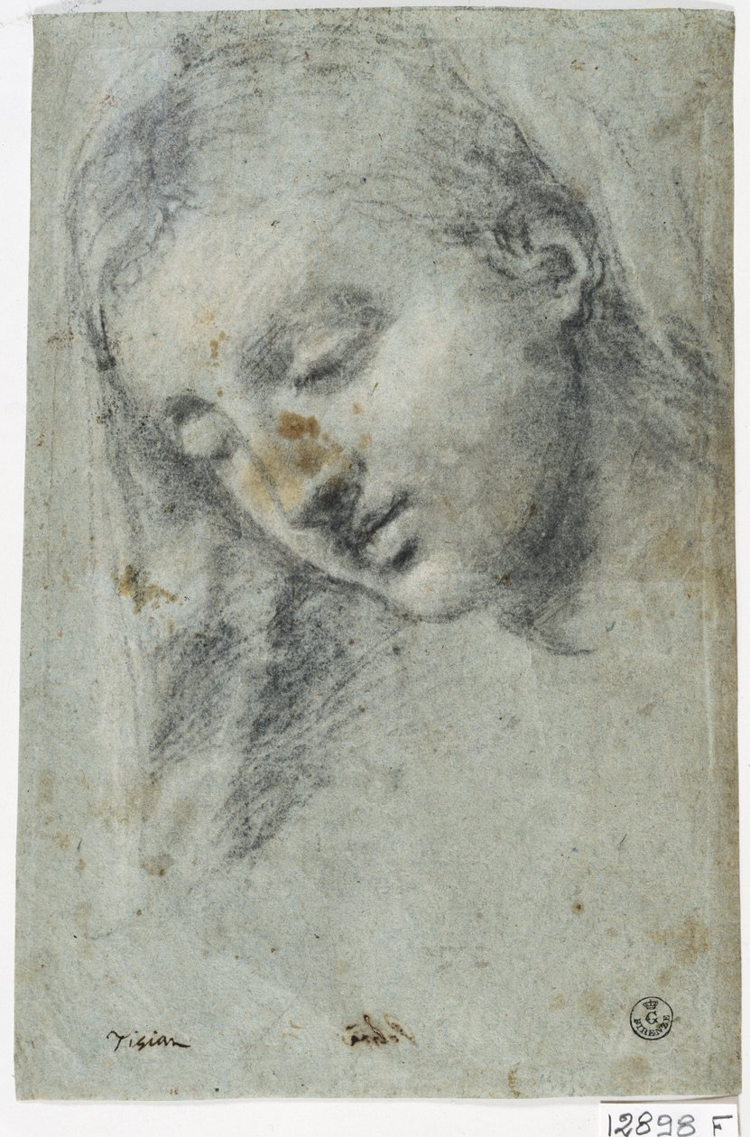 Naisen pää (hiili paperilla) tekijältä Titian (c.1488 1576)
