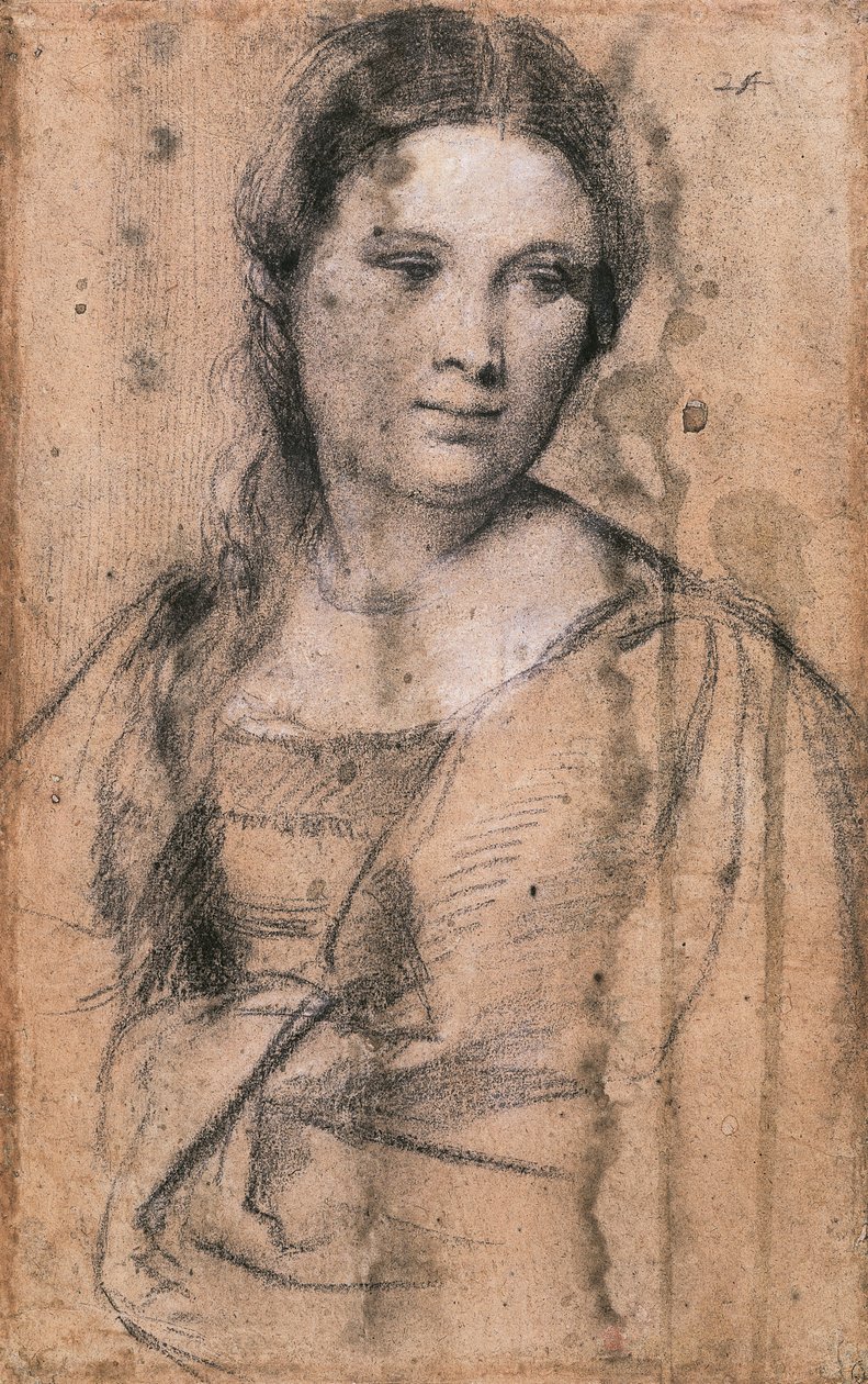 Nuoren tytön muotokuva Titianista (n. 1490-1576), piirustus tekijältä Titian (c.1488 1576)