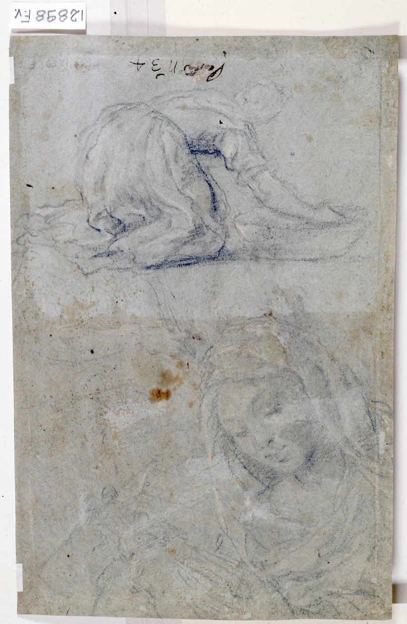 Neitsyttutkimukset (hiili paperille) tekijältä Titian (c.1488 1576)