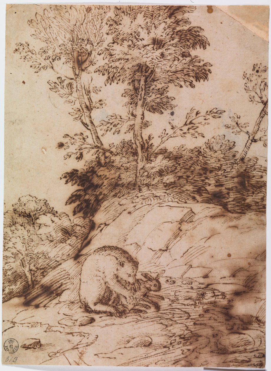 Karhu syö jänistä (kynä ja tussi paperille) tekijältä Titian (c.1488 1576)