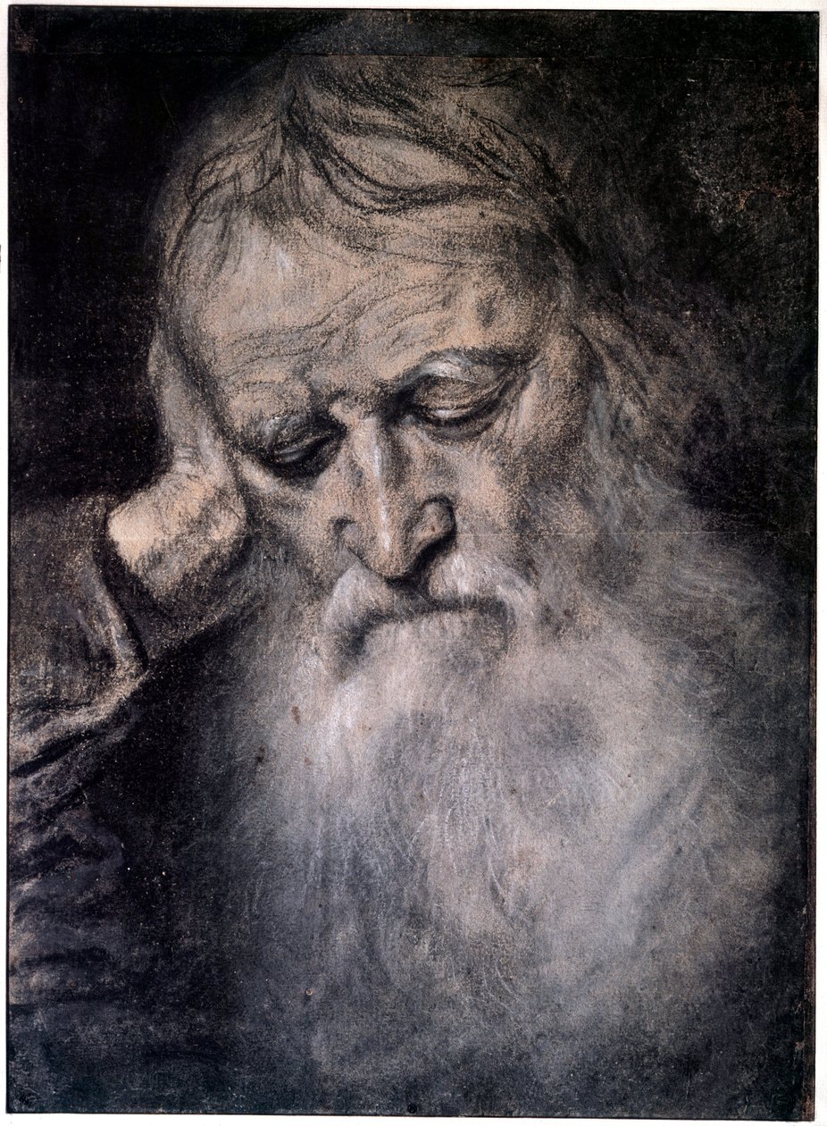 Vanhan miehen pää Tiziano Vecellion piirros nimeltä Titian (1485-1576) 1500-luvun Pariisi, Louvre-museo tekijältä Tiziano Vecelli