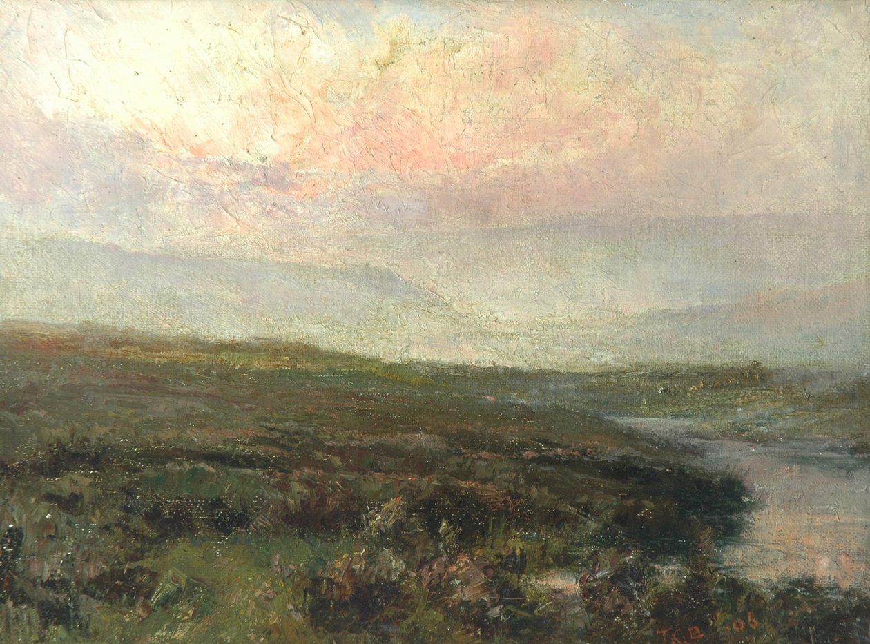 Moorland kohtaus tekijältä Tom Clifton Butterfield