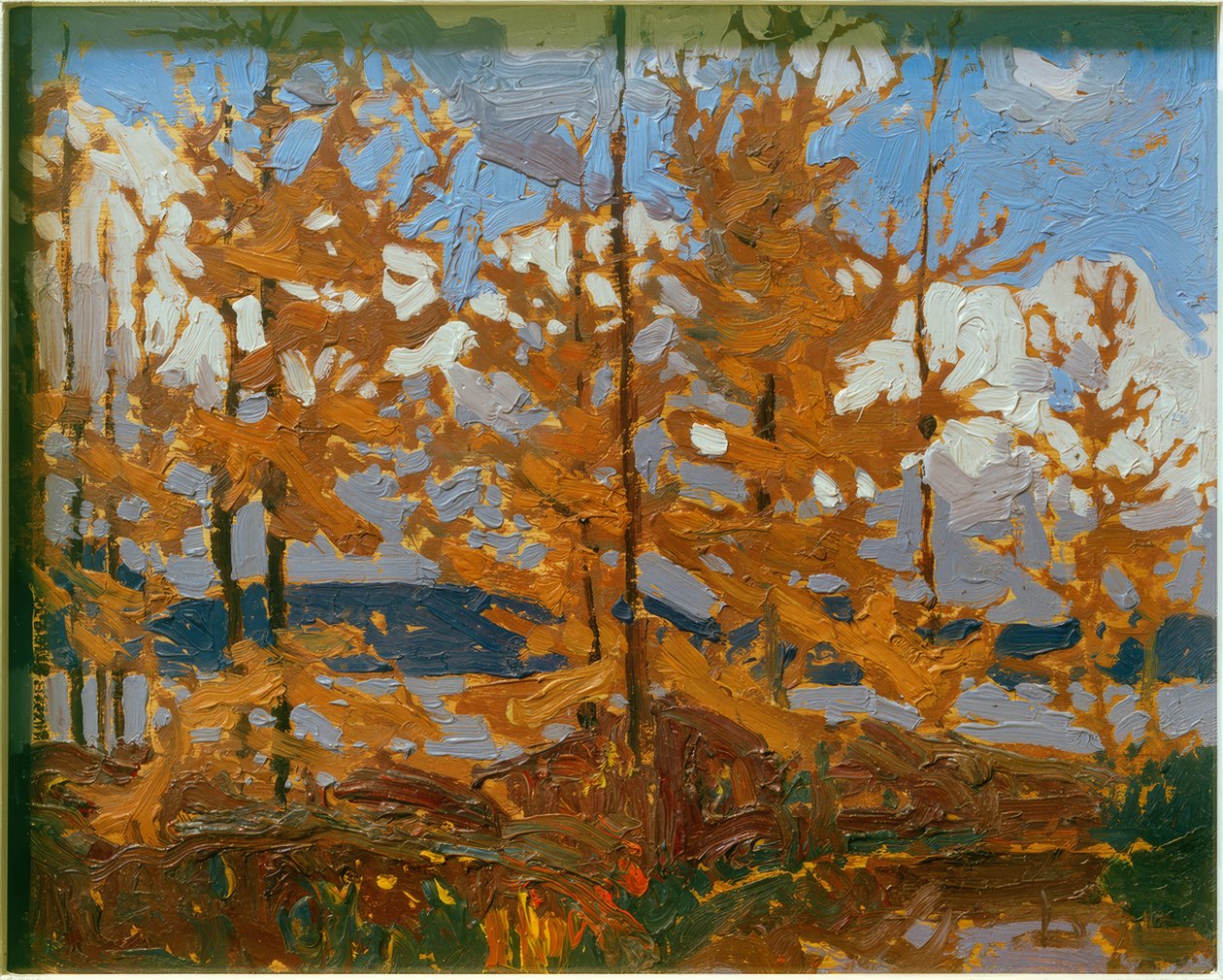 Tamaracks tekijältä Tom Thomson