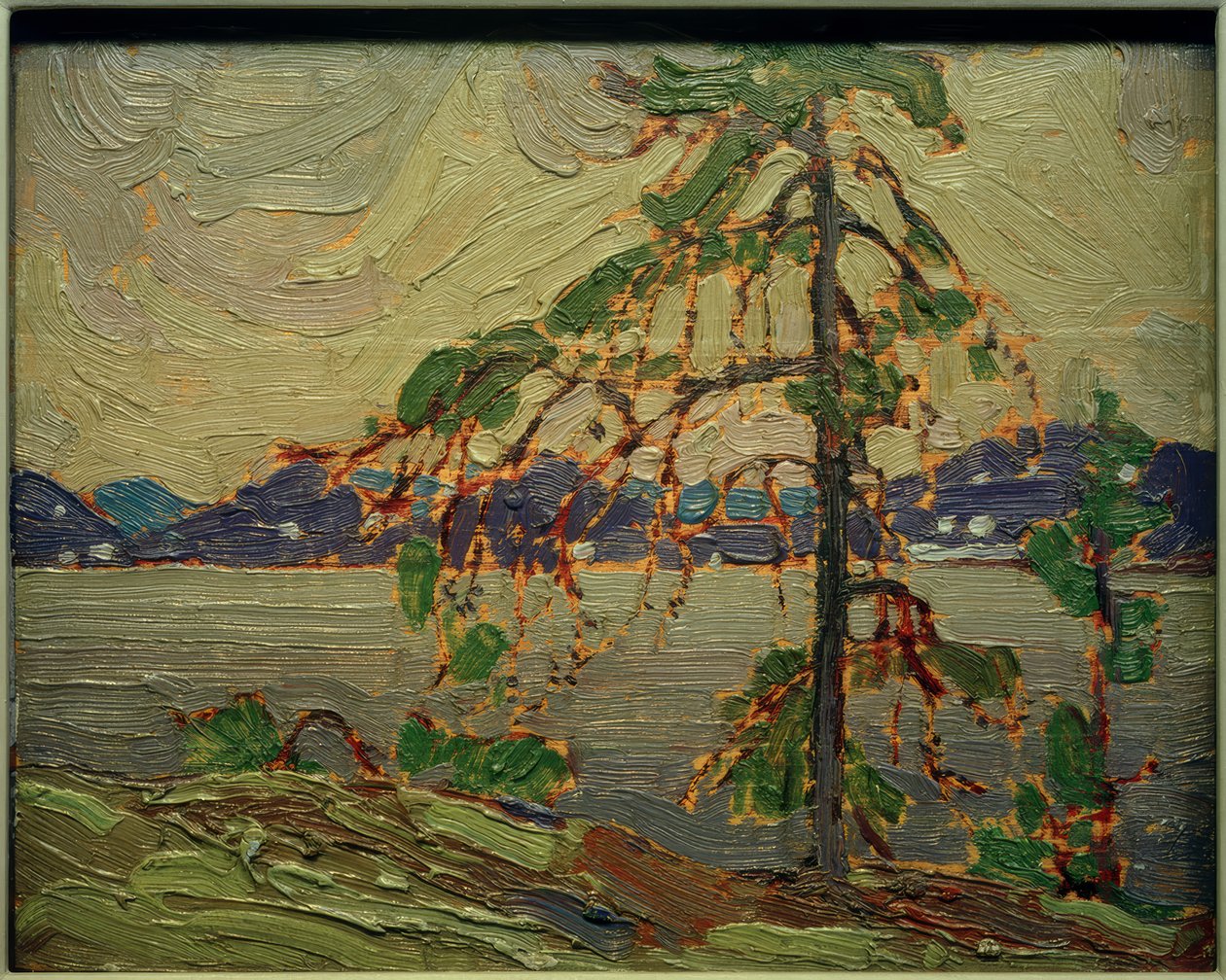 Jack Pine (Skizze) tekijältä Tom Thomson