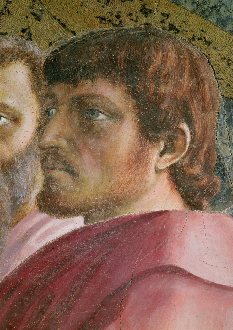 Apostolin pää - yksityiskohta freskosta 31642 n.1427, 31642 n.1427. tekijältä Tommaso Masaccio