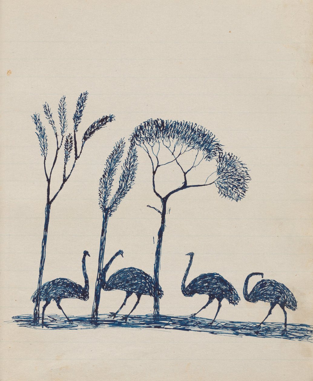 Kwat Kwat -ihmiset - (Emus) Luonnoskirja lähinnä aboriginaalien ja valkoisten toiminnasta tekijältä Tommy McRae