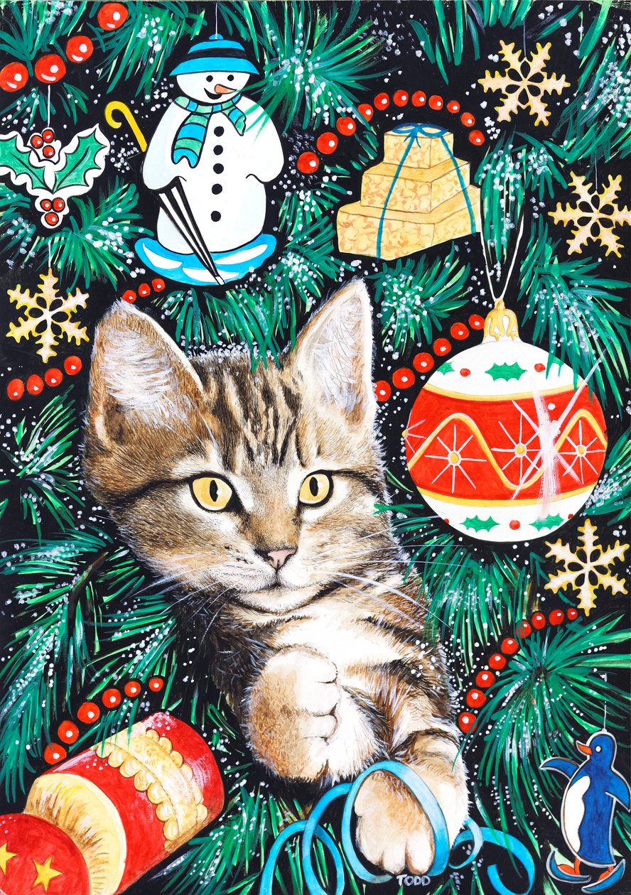 Tabby Christmas Kitten tekijältä Tony Todd